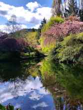 Sunken Garden Pond
